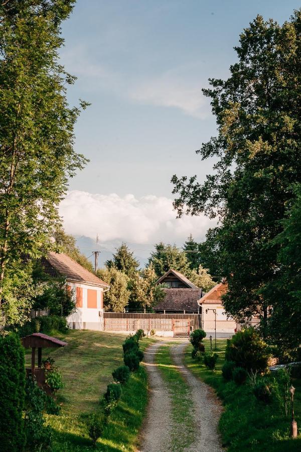 Hotel Moara De Piatra Carta  Exteriér fotografie